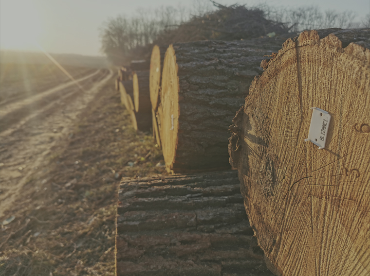 bemutatkozas_240315